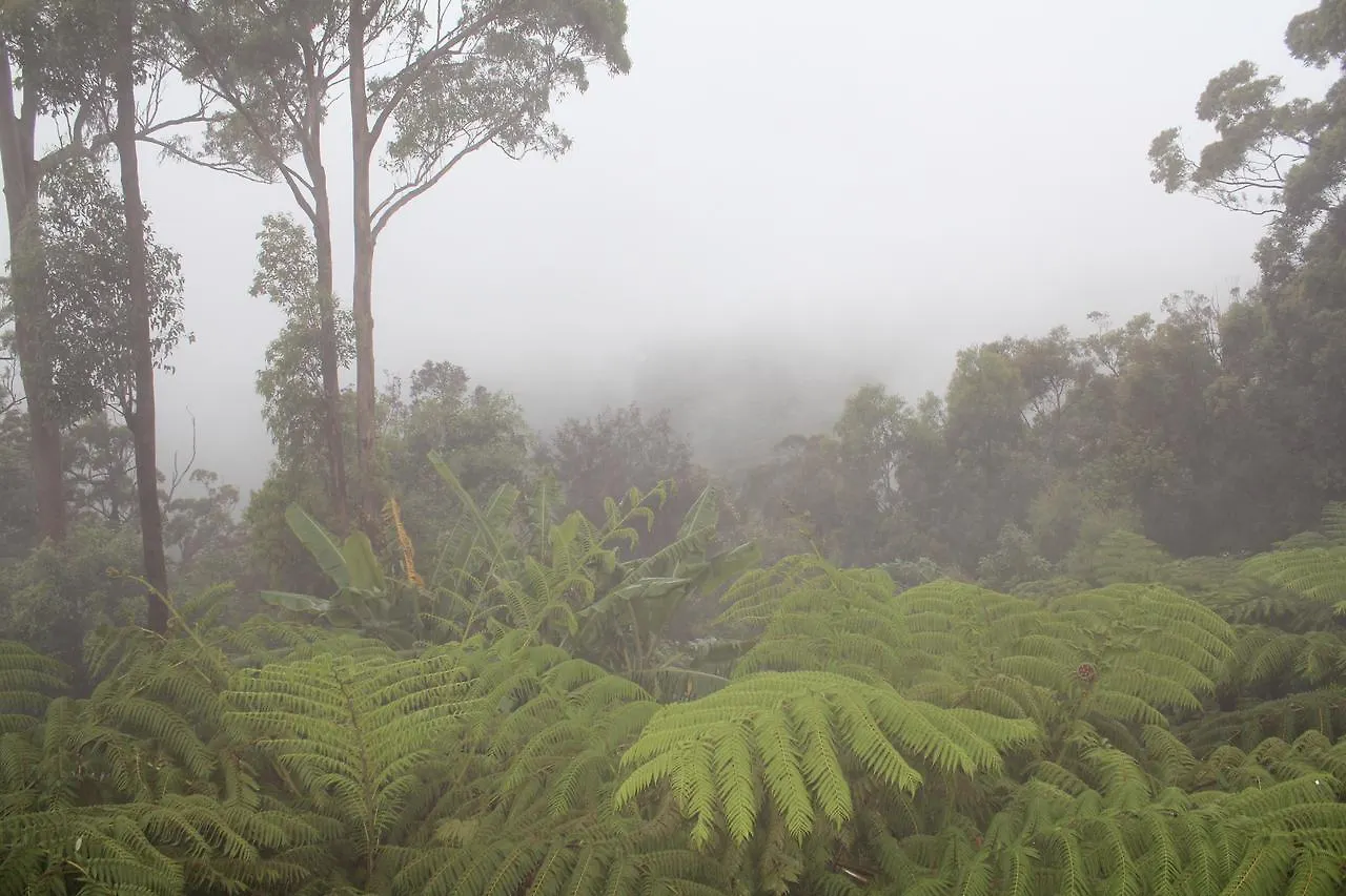 Cloud 9 - Cliff Top Eagle Heights Mount Tamborine Semesterbostad