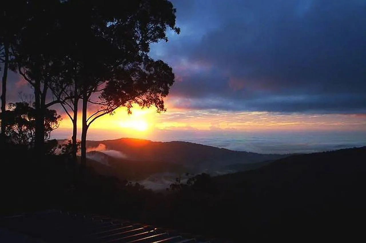 Cloud 9 - Cliff Top Eagle Heights Mount Tamborine Semesterbostad