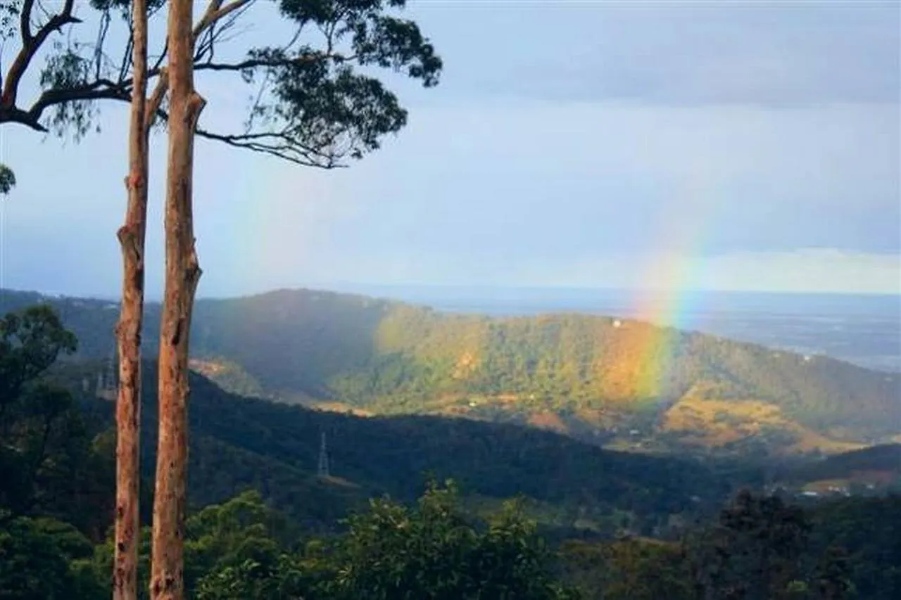 Cloud 9 - Cliff Top Eagle Heights Mount Tamborine 0*,